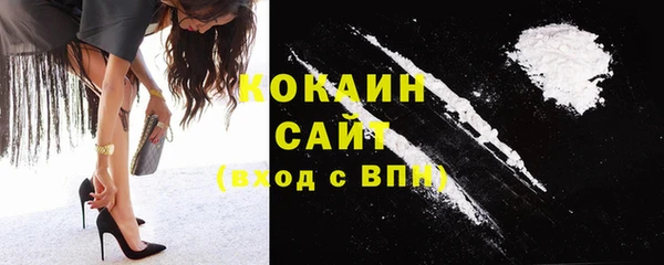 крисы Баксан
