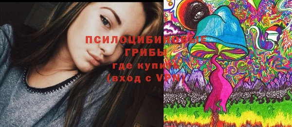 PSILOCYBIN Балабаново