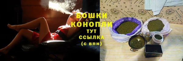 PSILOCYBIN Балабаново