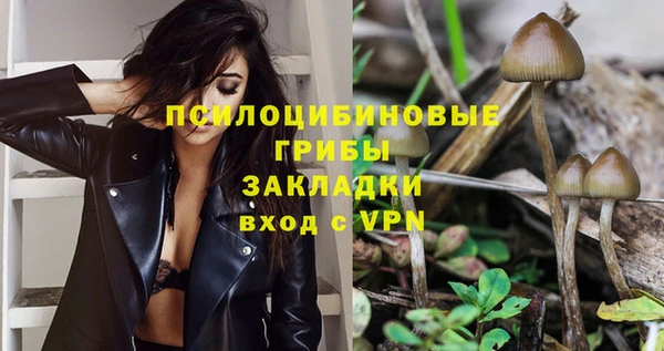 крисы Баксан