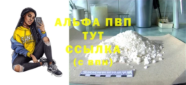 крисы Баксан