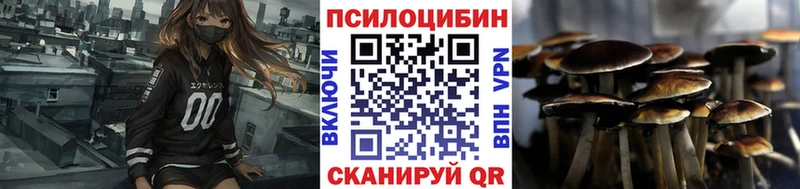 Псилоцибиновые грибы Cubensis  блэк спрут как зайти  Семилуки 