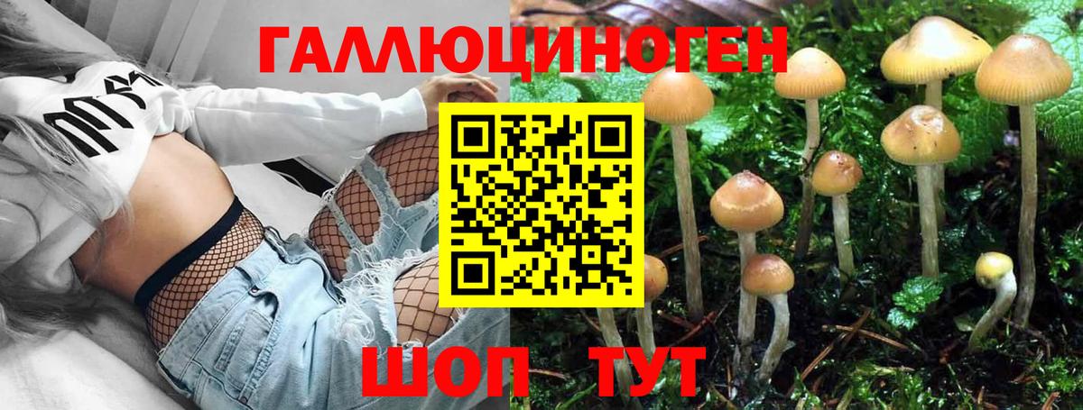 Галлюциногенные грибы прущие грибы Семилуки