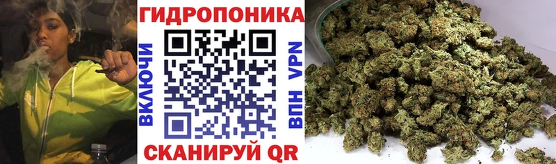 Бошки марихуана VHQ  купить   Семилуки 