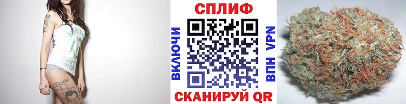 Конопля конопля Семилуки